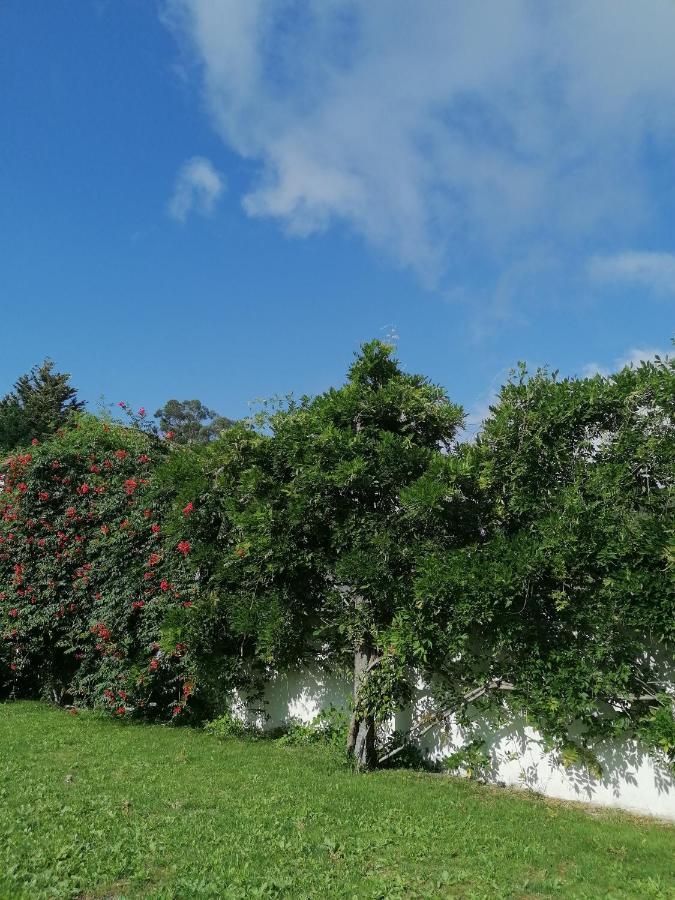 Casa Das Castanheiras Vieira do Minho Dış mekan fotoğraf